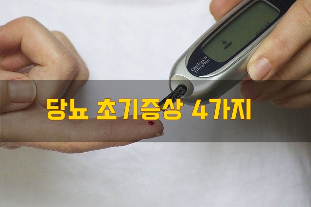  당뇨 초기증상 4가지