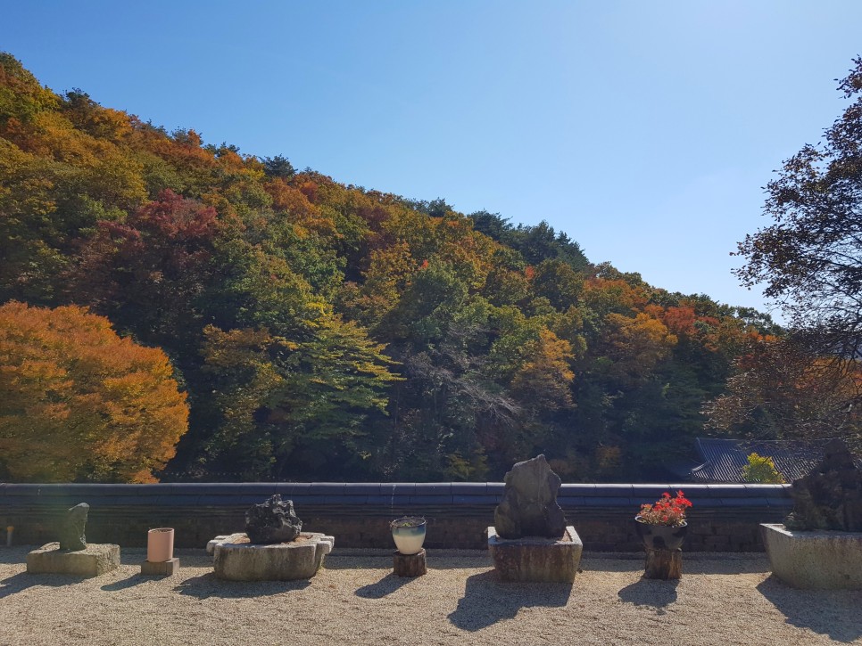 장소! 칠불사의 가을 풍경을 감상하세요:) 하동칠불사의 가을 멋진 자태를 품은 11