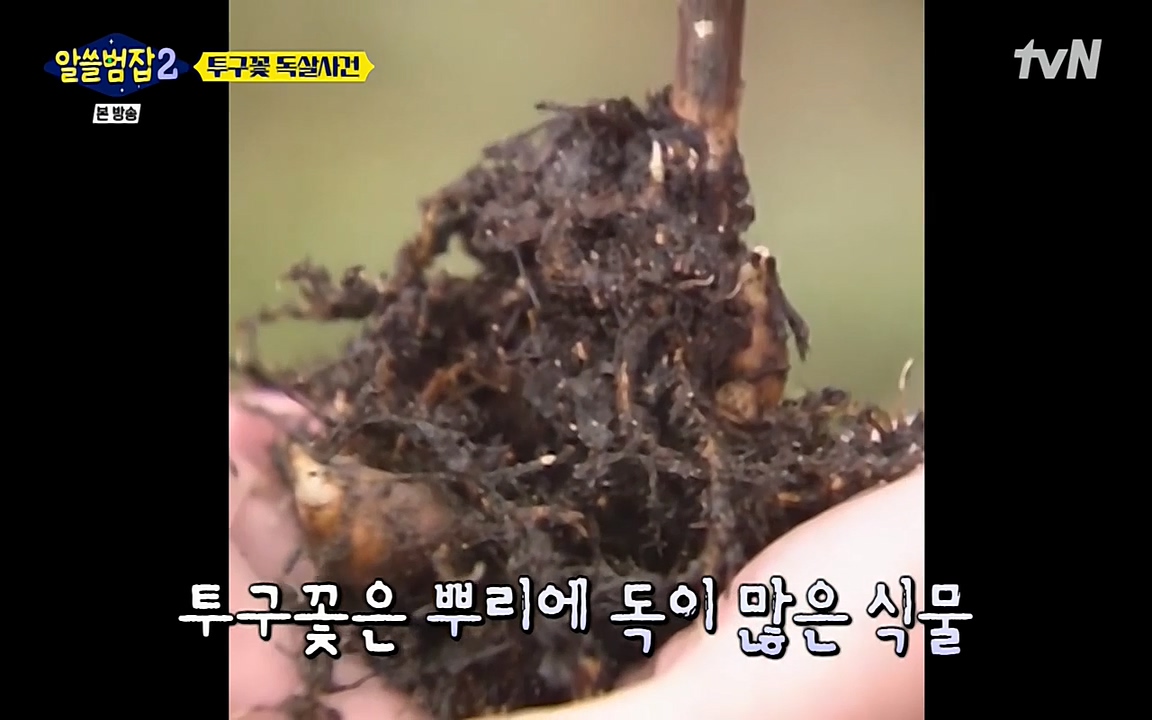 알쓸범잡 2.E15.220425p-NEXT.mp4_20220425_180300.358.jpg