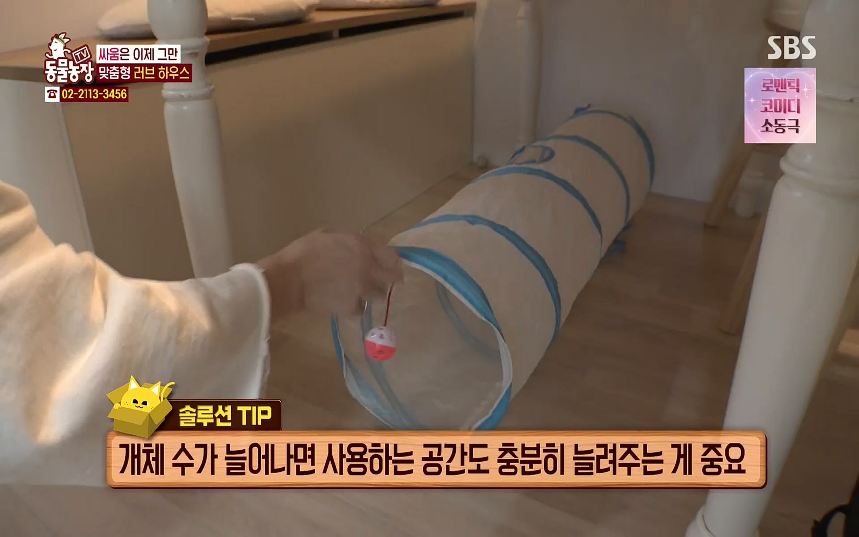 TV 동물농장.E1067.220501p.H264-F1RST.mp4_20220501_183215.950.jpg