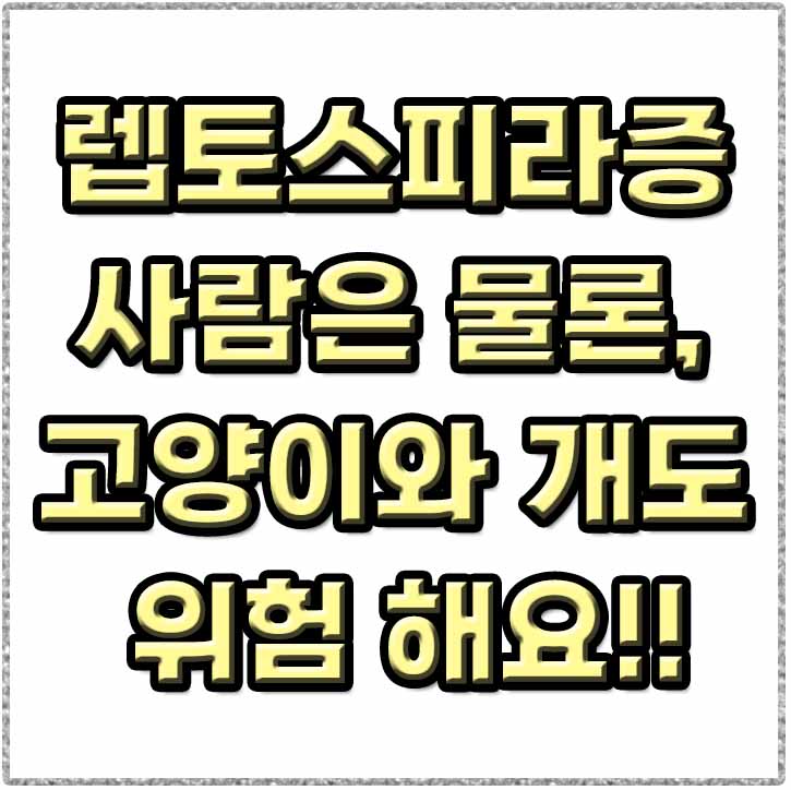  렙토스피라증 고양이 개 사람 모두 위험한 가을철 질환