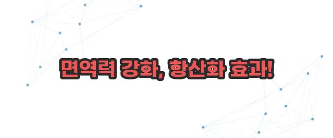 베타글루칸 효능 이보다 자세히 설명할순없다