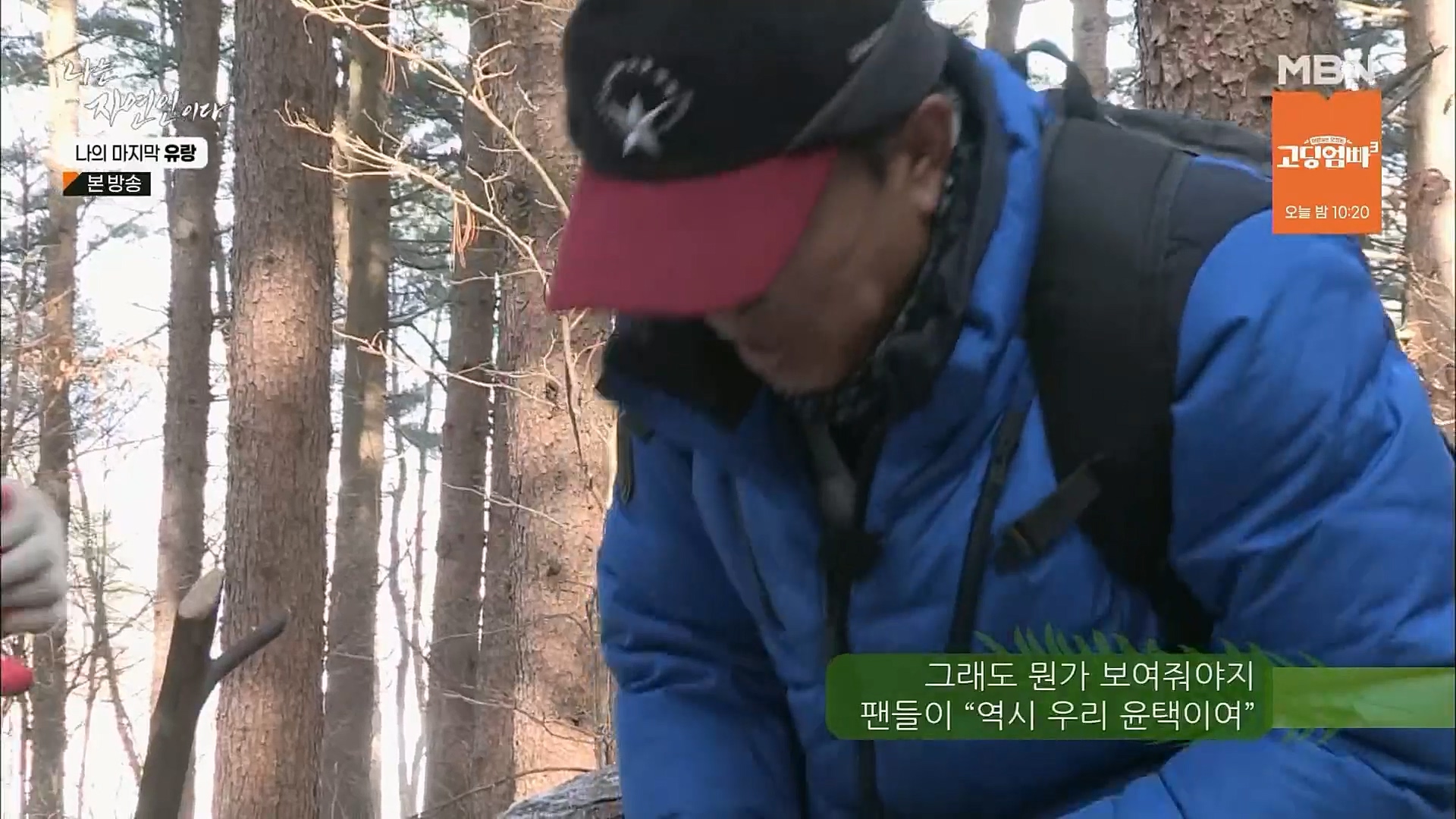 나는 자연인이다.E541.230215p.H264-F1RST.mp4_20230216_192702.246.jpg