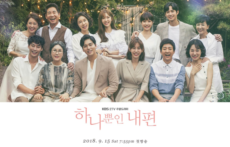 인물 관계도 몇 부작 조사할 뿐인 내 편