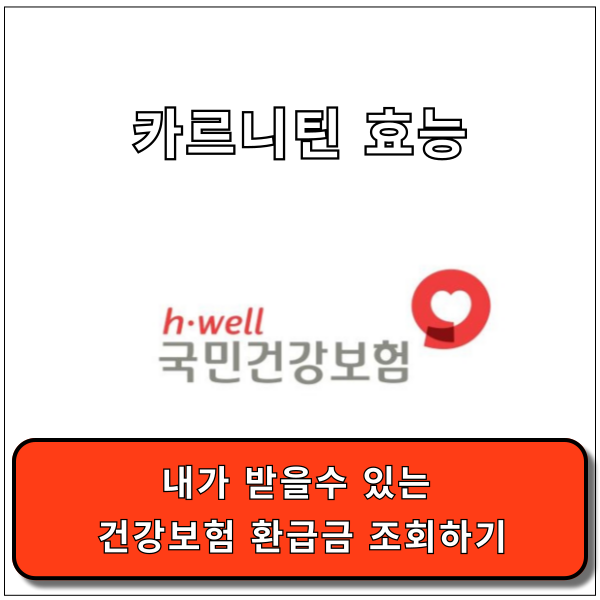 카르니틴 효능