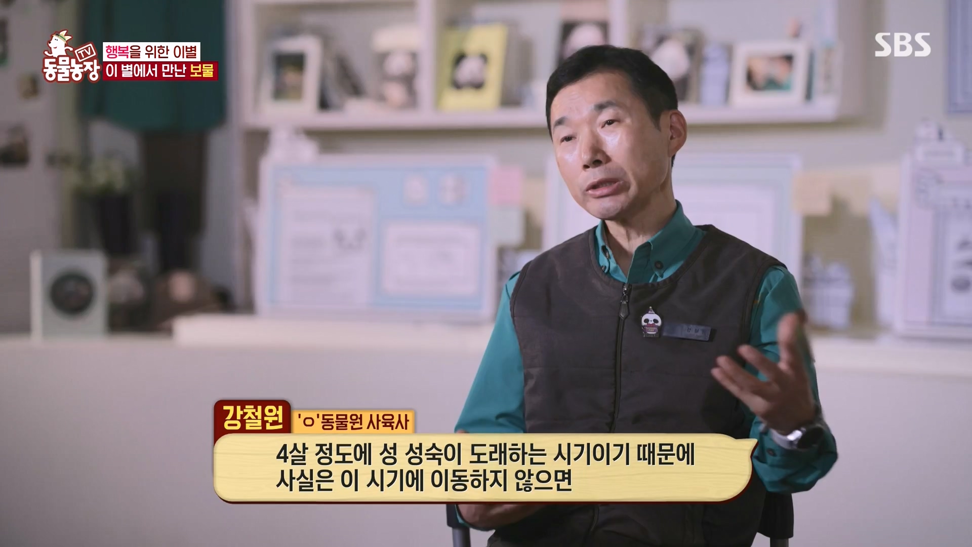 TV 동물농장.E1166.240407p-NEXT.mp4_20240407_164507.333.jpg