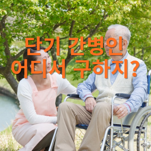 단기 간병인