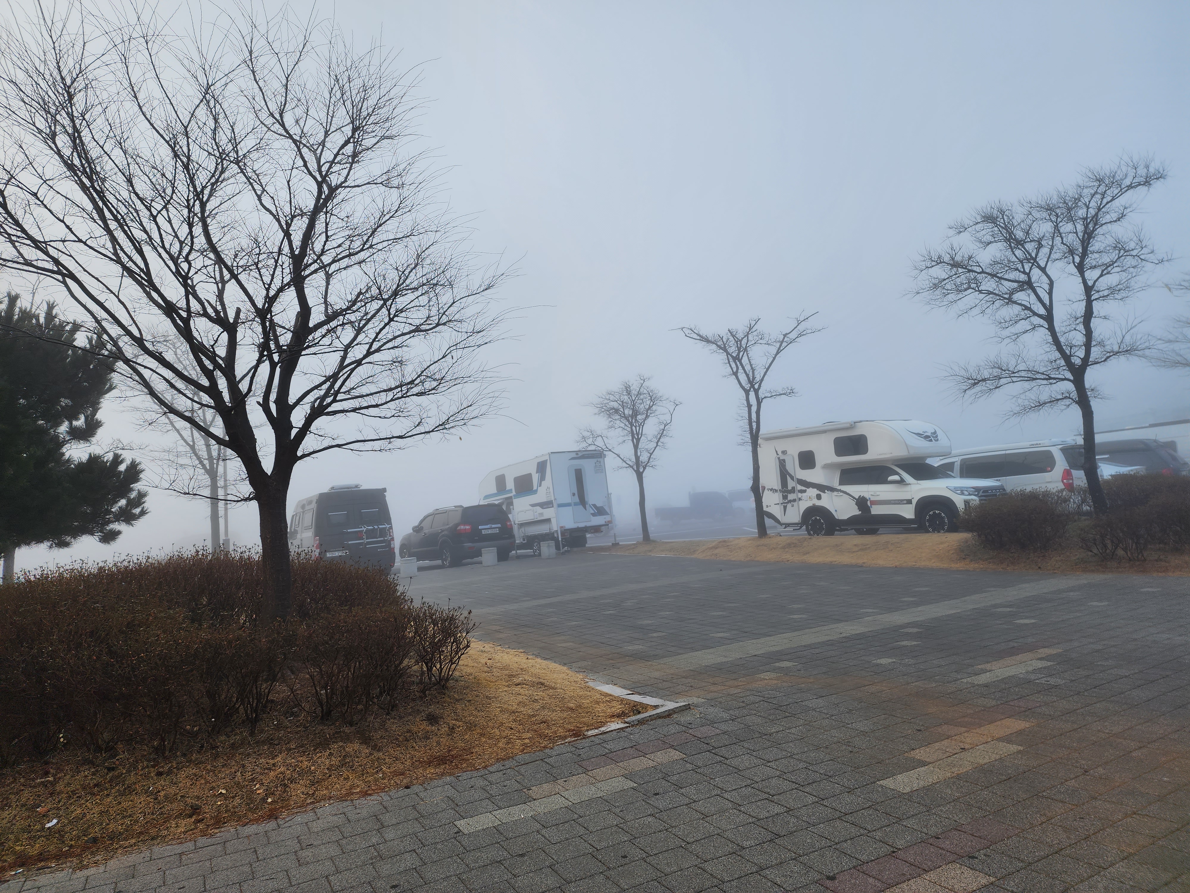 대부도 차박 6