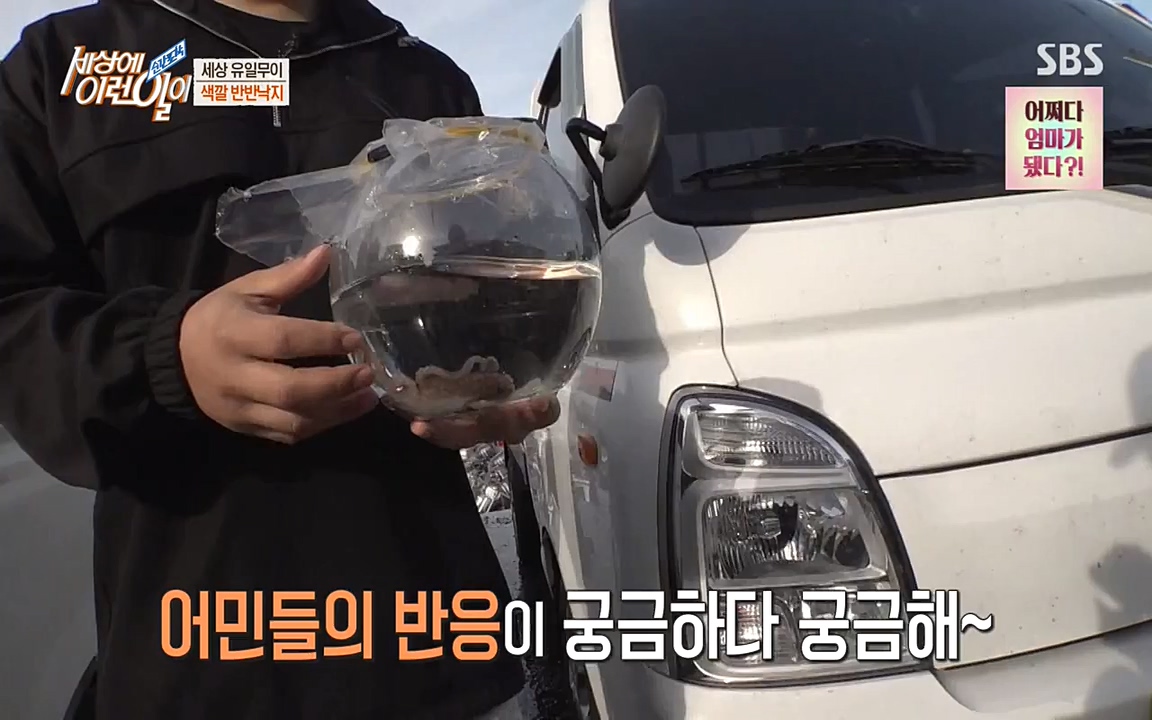 순간포착 세상에 이런일이.E1178.220504p-NEXT.mp4_20220504_180725.416.jpg