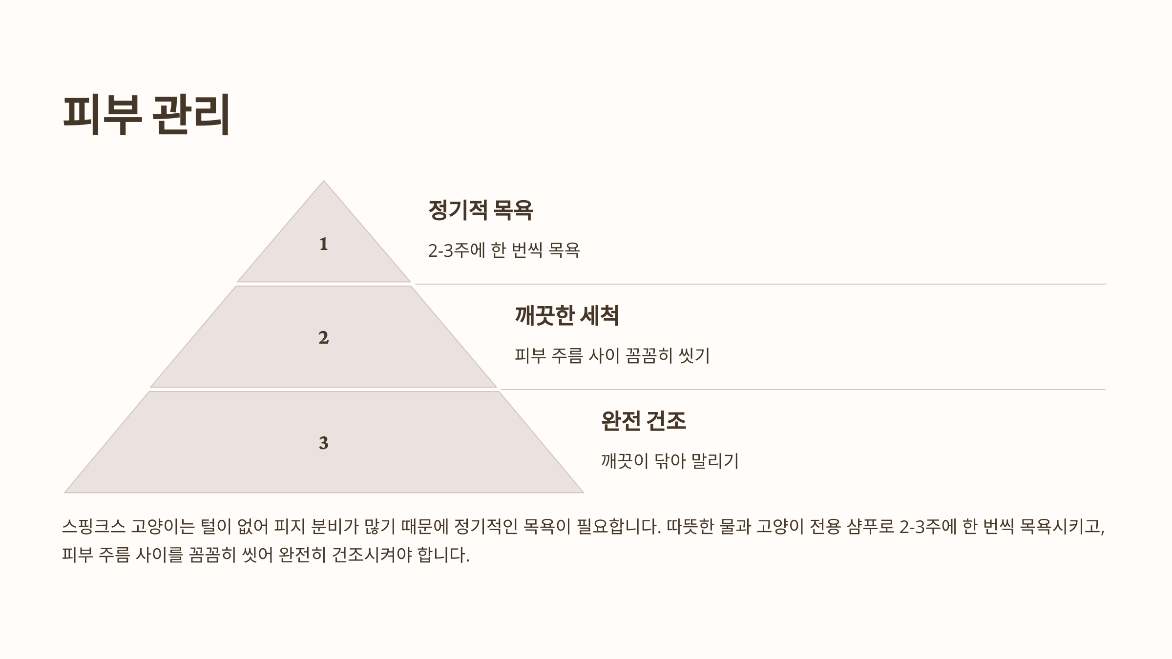 스핑크스 고양이 사진입니다.