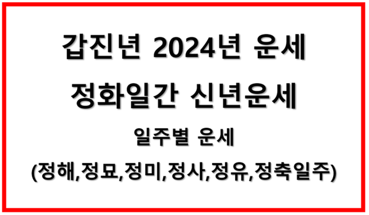 갑진년 정화일간 운세 2024 신년운세 정화일간일주별 운세