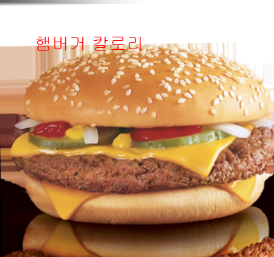햄버거 칼로리5