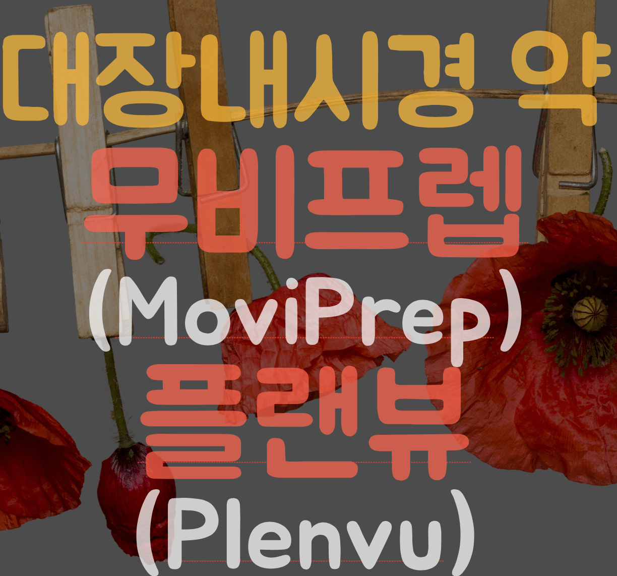 썸네일 대장내시경약 무비프렙 (moviprep)과 플랜뷰 (plenvu)