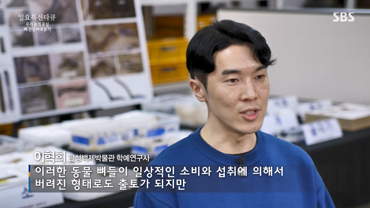 일요특선 다큐멘터리.E339.240205p-NEXT.mp4_20240206_203121.856.jpg