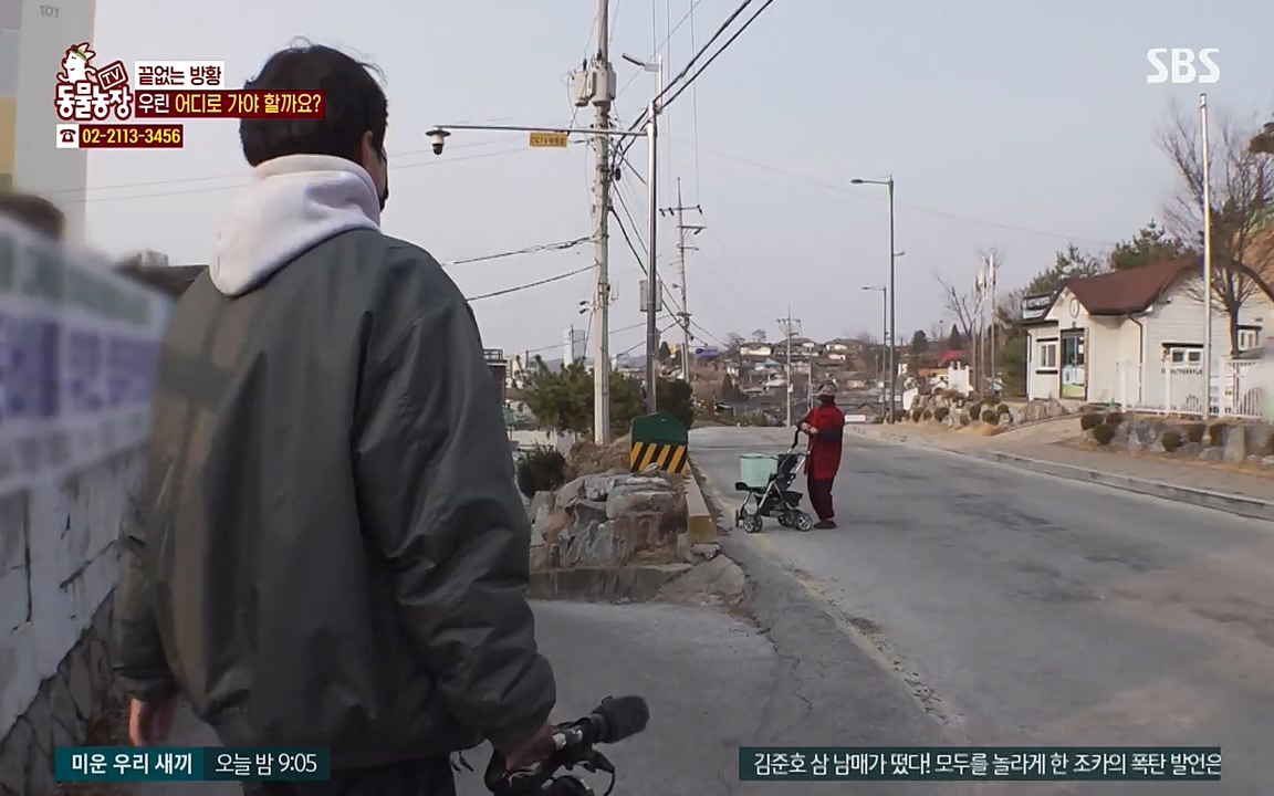 TV 동물농장.E1065.220418p-NEXT.mp4_20220417_181317.169.jpg