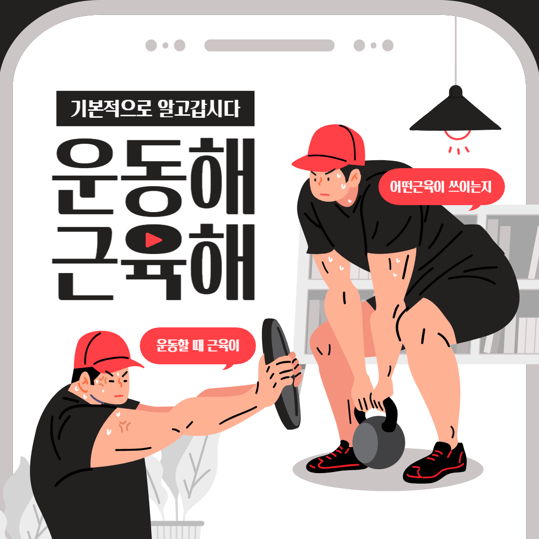 기본적인근육 근육 운동시 근육 근육명칭