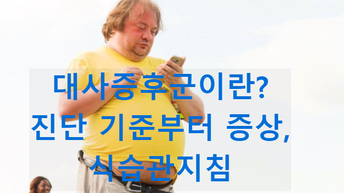 대사증후군이란