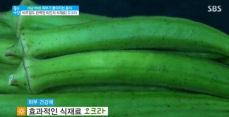 오크라 이미지