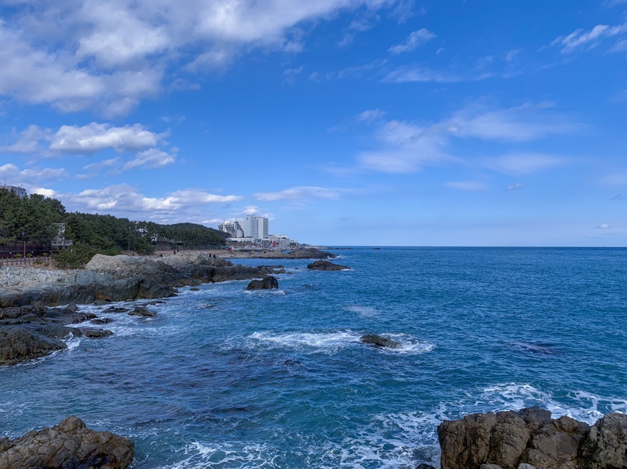 주차 꿀팁 (Hint : 해파랑길 2코스) 부산 여행 필수 코스! 해동용궁사 24