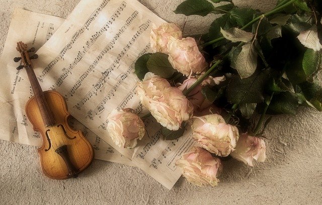 바이올린과 꽃과 악보