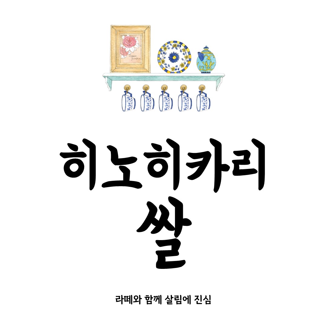 히노히카리 쌀 완전 정복: 밥맛의 모든 것