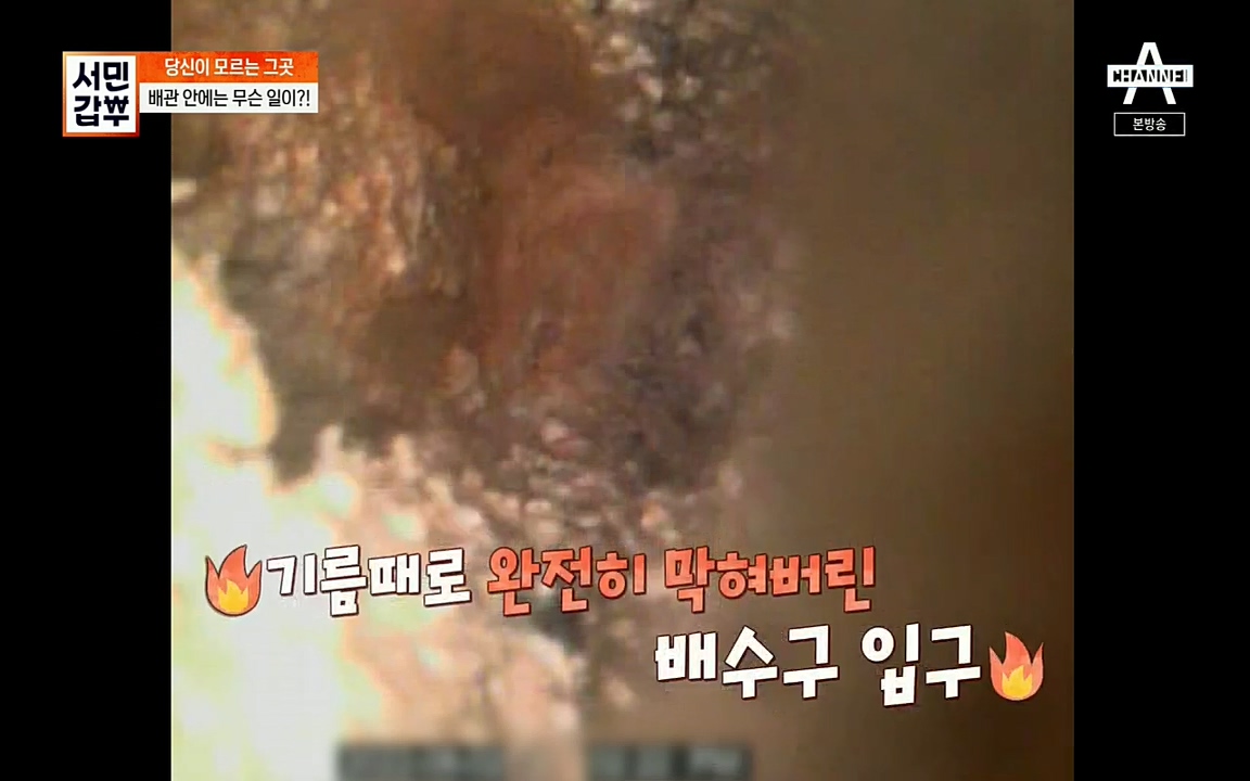 서민갑부.E398.220828p.H264-F1RST.mp4_20220828_133140.618.jpg