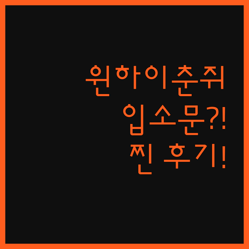 윈하이춘쥐 홈스테이? 2024년 오픈