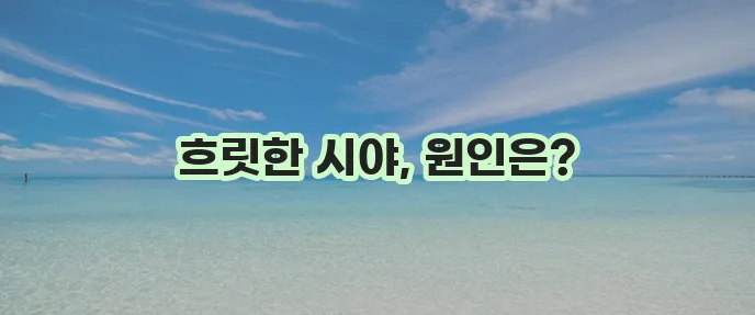 눈이 침침해지는 이유 5가지 꼭 확인하세요