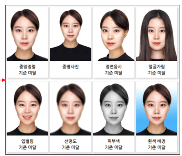 여권사진과 기준미달 사진 예시