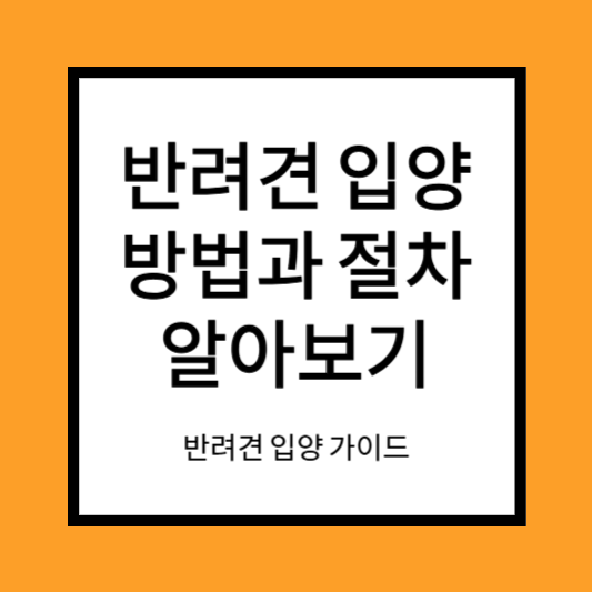 반려견 입양