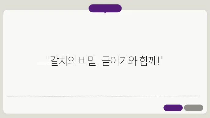 갈치 금어기