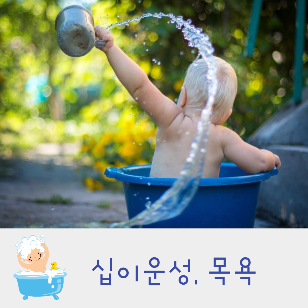  도화살과 비슷한 십이운성 목욕