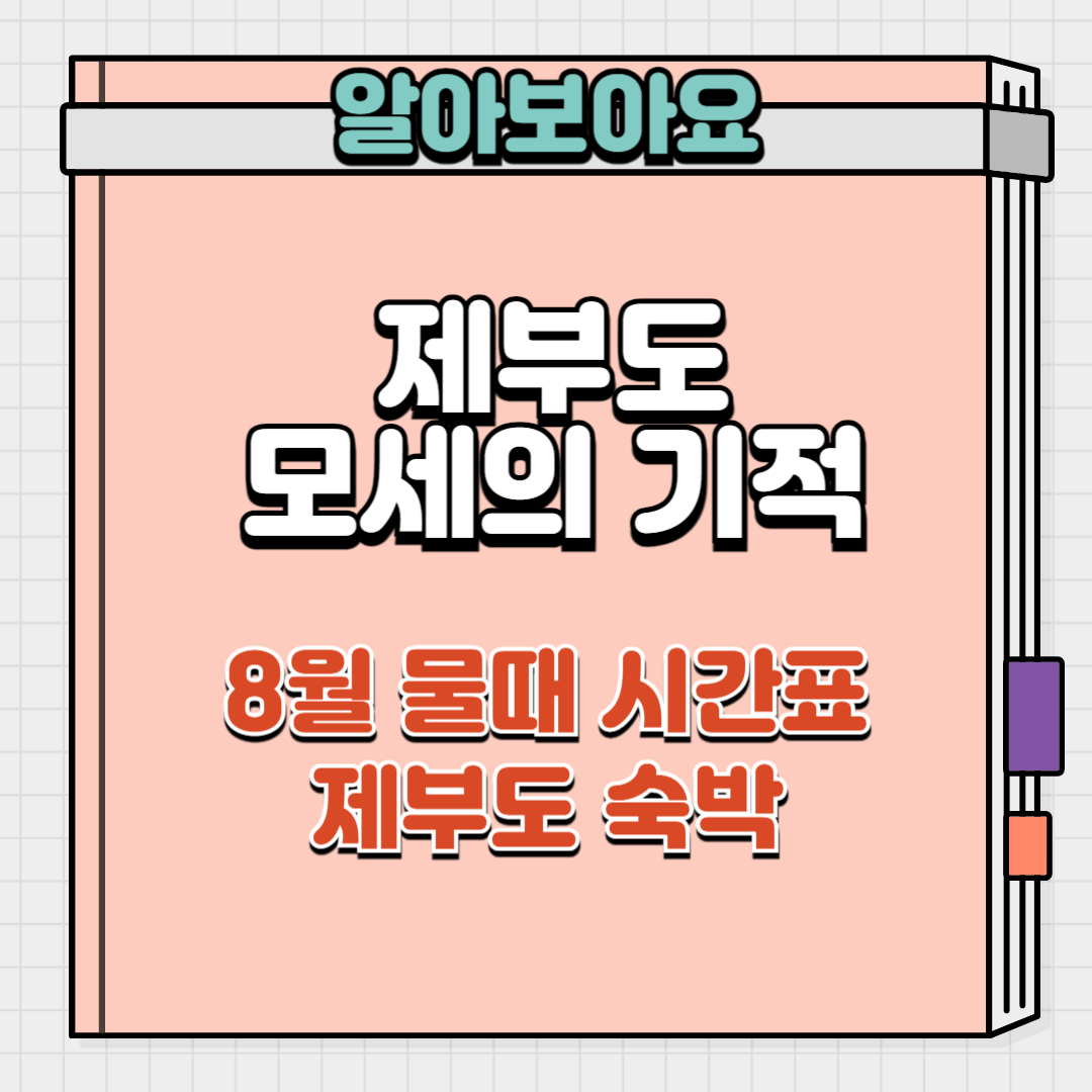 8월 제부도 물때시간표 와 숙박