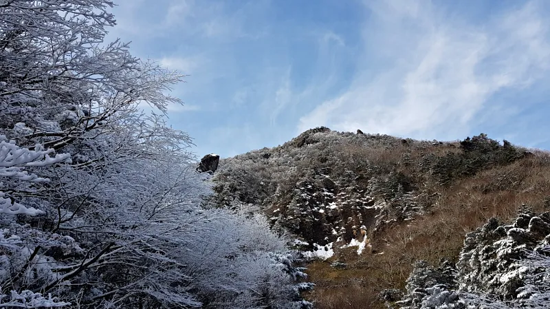 제주 한라산 설경 겨울왕국