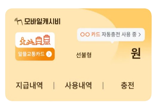 선불형 알뜰교통카드