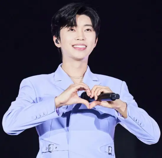 임영웅 기사