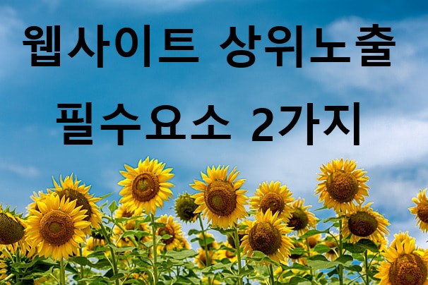  웹사이트 상위노출 상단노출 통검 조건 필수 2가지!!!