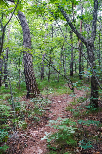 한국 명산 충북 괴산 청화산 등산 mountain hiking