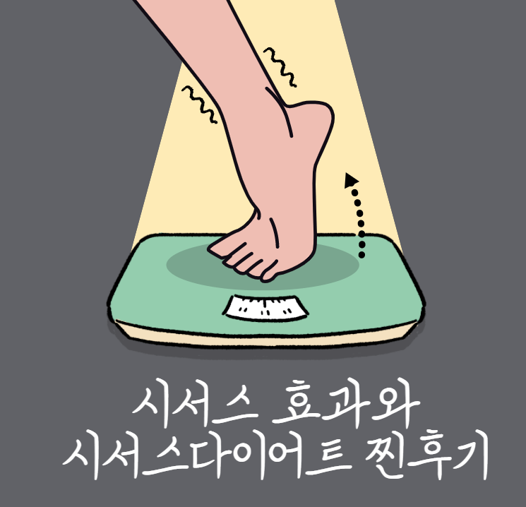  시서스 가루 효과와 다이어트 찐 후기