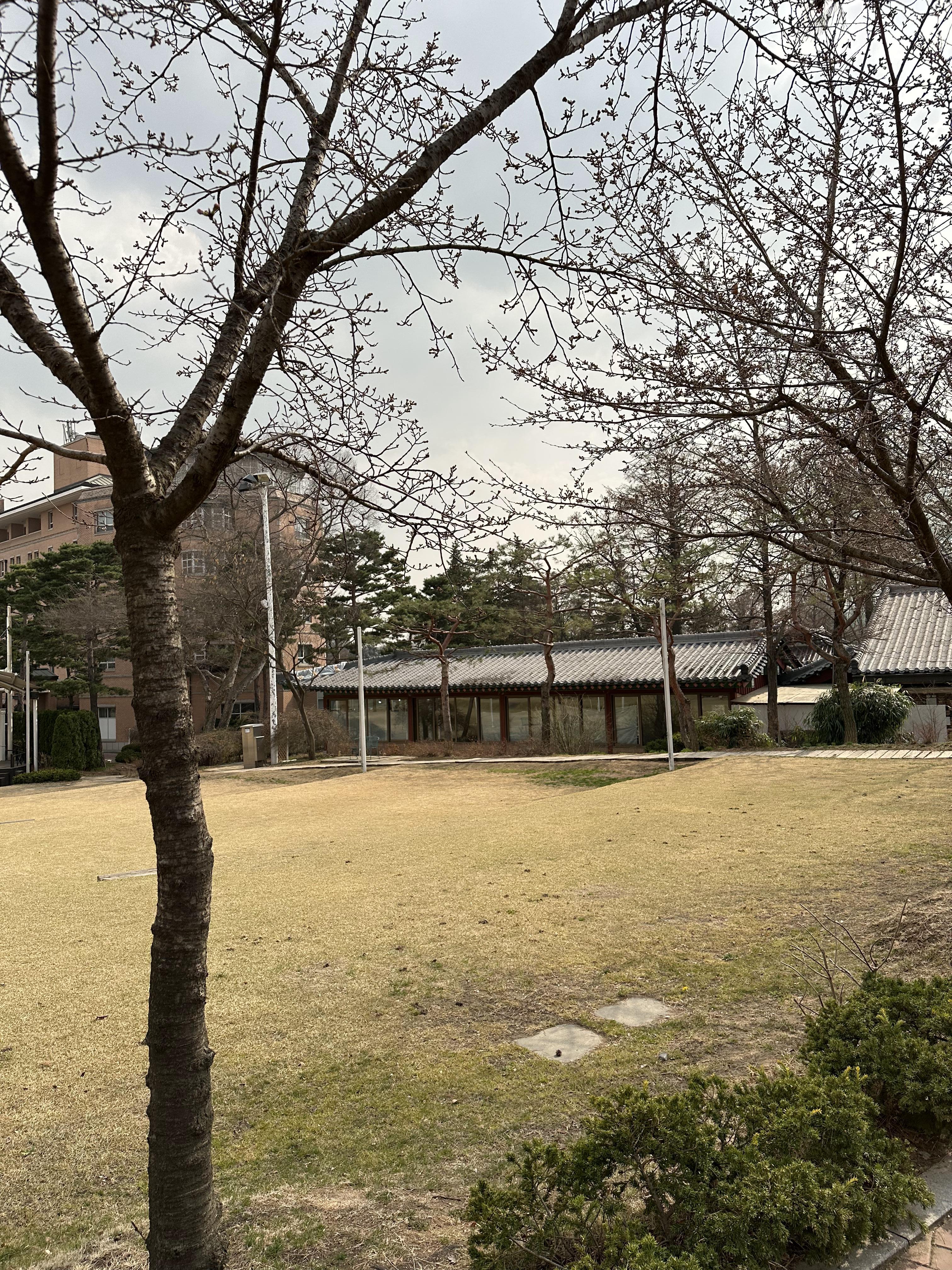 메이필드 가든 2