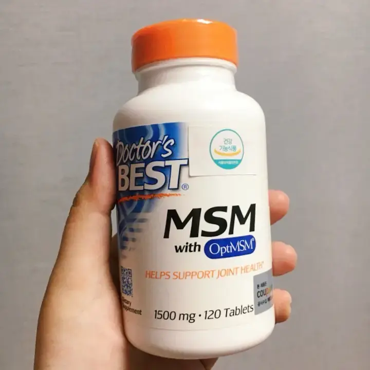 MSM 이란?