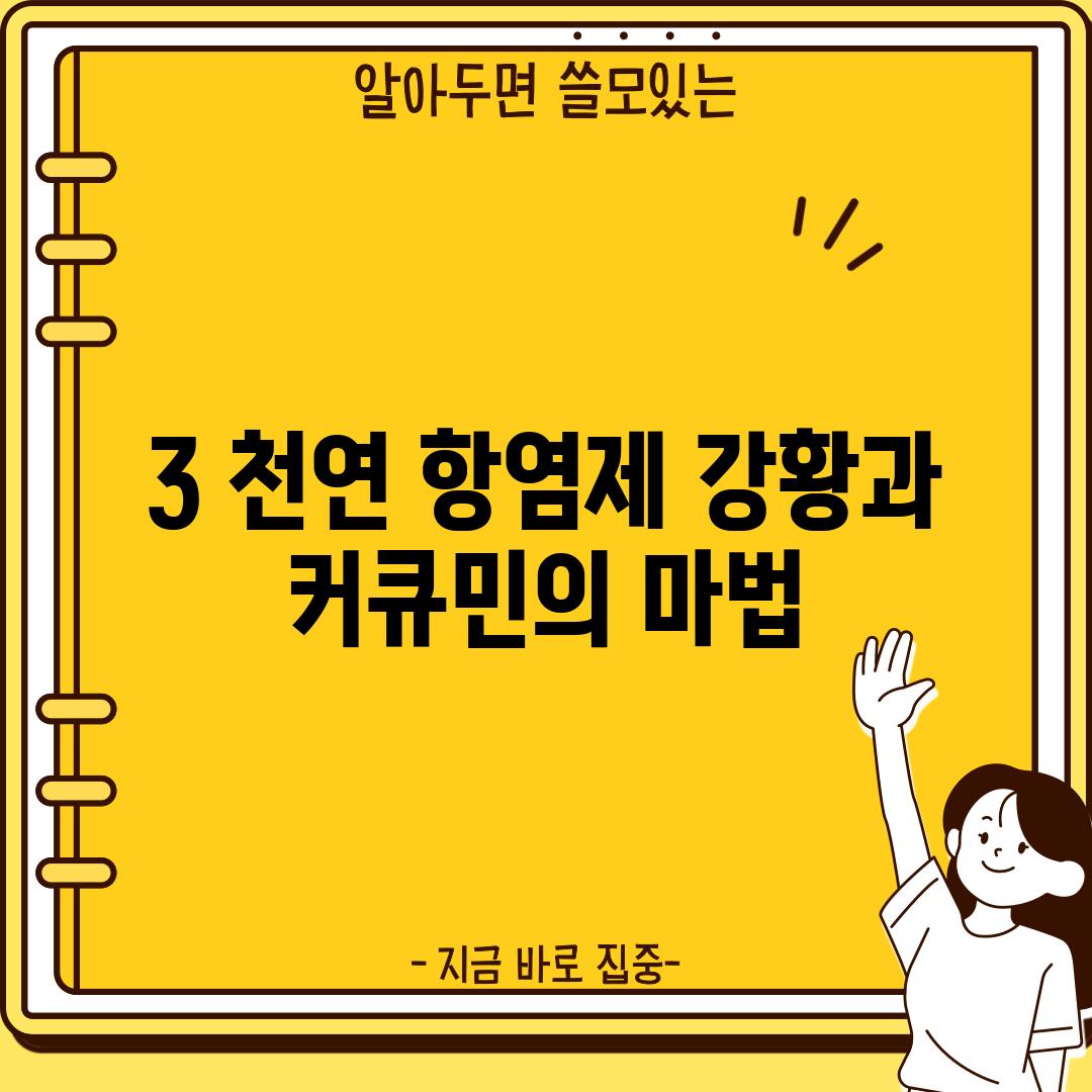 3. 천연 항염제! 강황과 커큐민의 마법