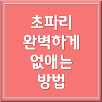  초파리 없애는 방법과 초파리 생기는 이유 (초파리 트랩 만들기)