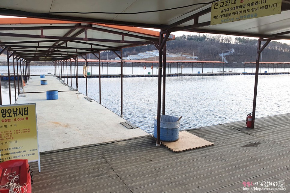 손맛느끼고 왔어요 강화도빙어축제 14