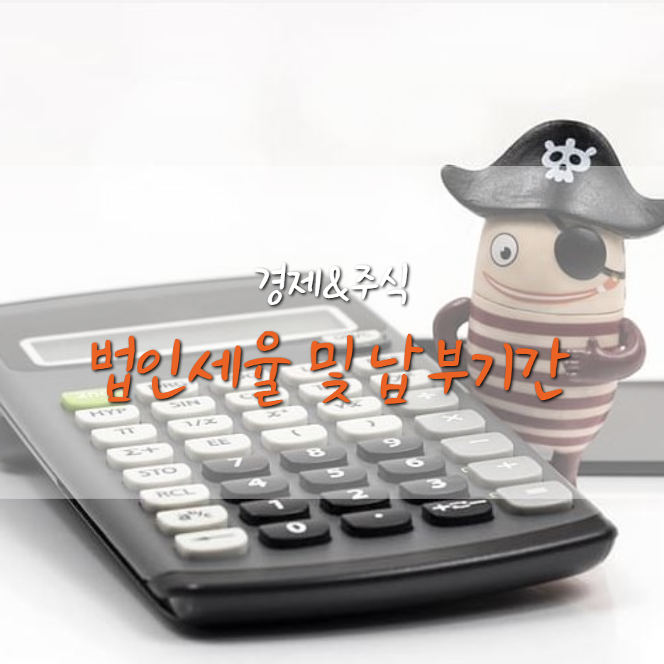  법인세 신고 기간 및 법인 세율은?