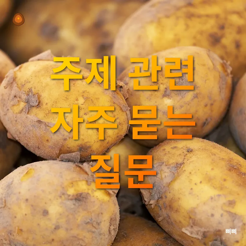 고구마 약과_3