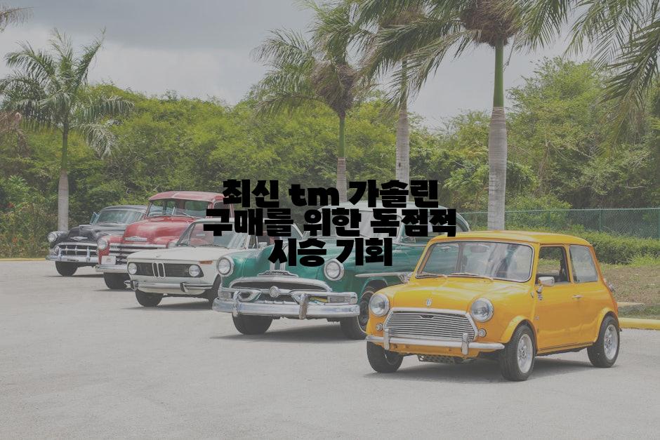 최신 tm 가솔린 구매를 위한 독점적 시승 기회