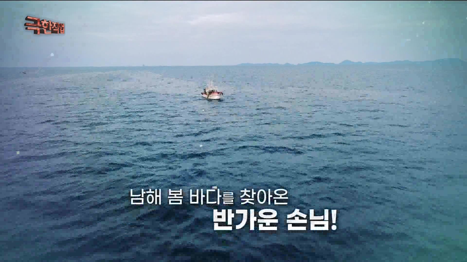 극한 직업 - 보물섬 남해, 멸치의 귀환 1080p.mp4_20230612_202037.845.jpg