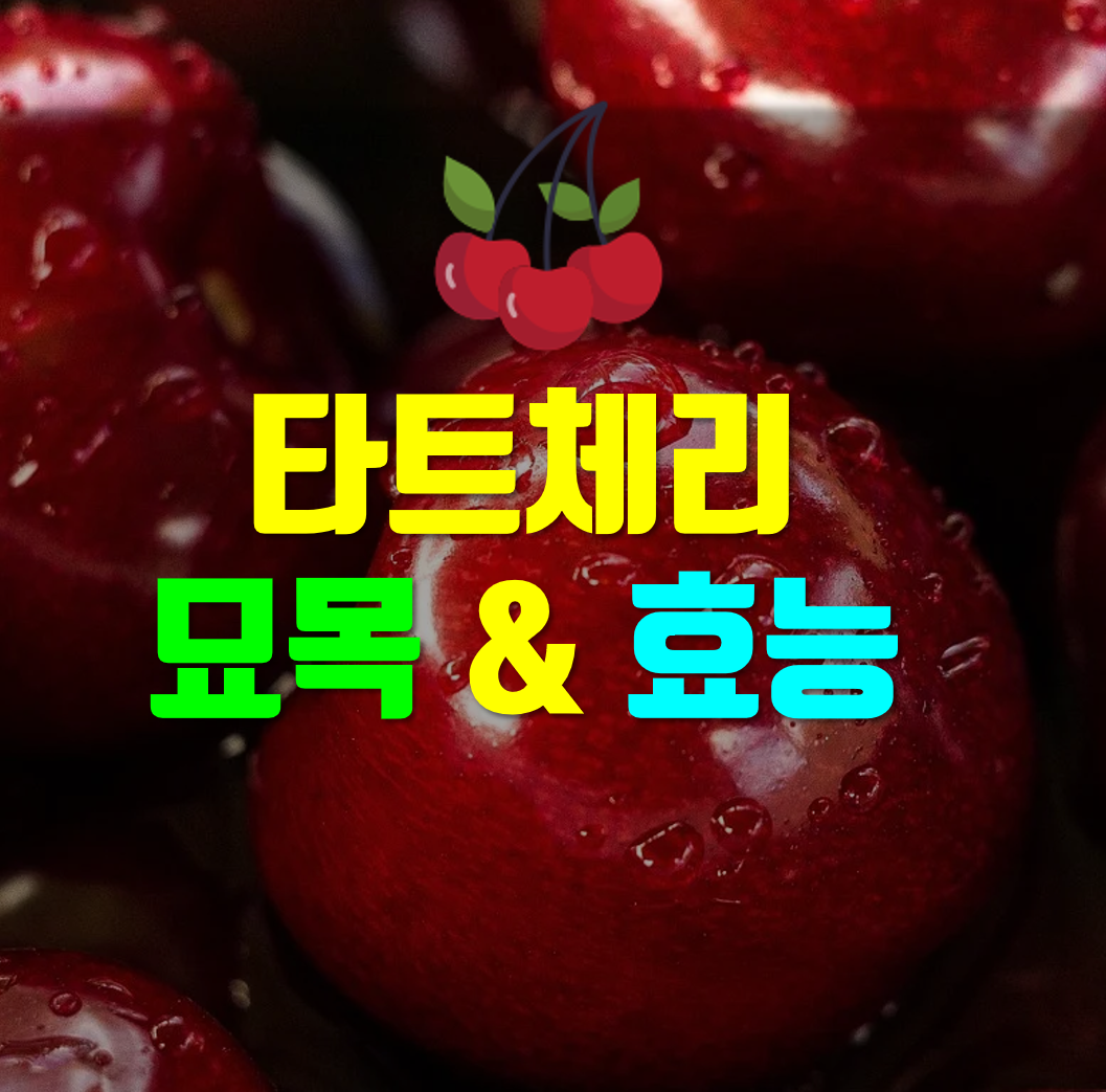  타트체리 묘목 및 타트체리 효능 아직도 몰라?