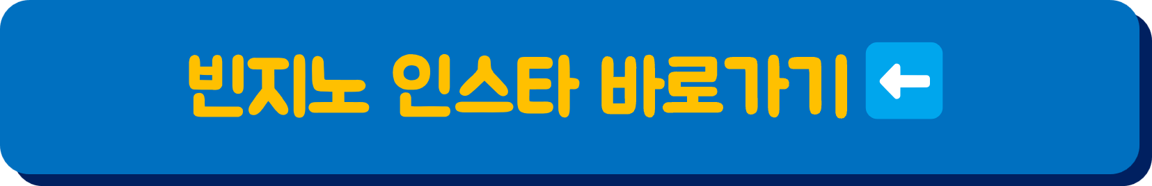 빈지노 콘서트